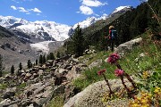 CAPANNA BOVAL AL GHIACCIAIO DEL MORTERATSCH il 18 luglio 2016 - FOTOGALLERY